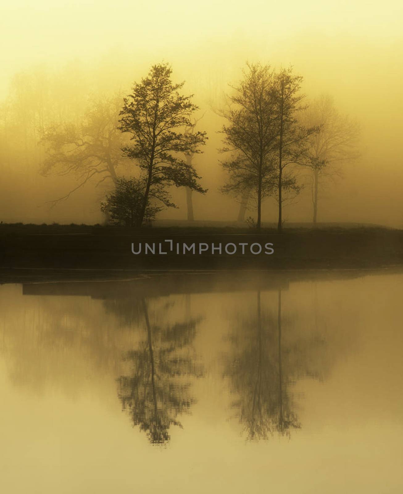 Beautiful pictures of  Belgium by TravelSync27