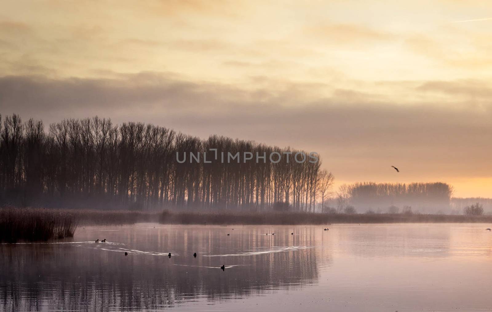 Beautiful pictures of  Belgium