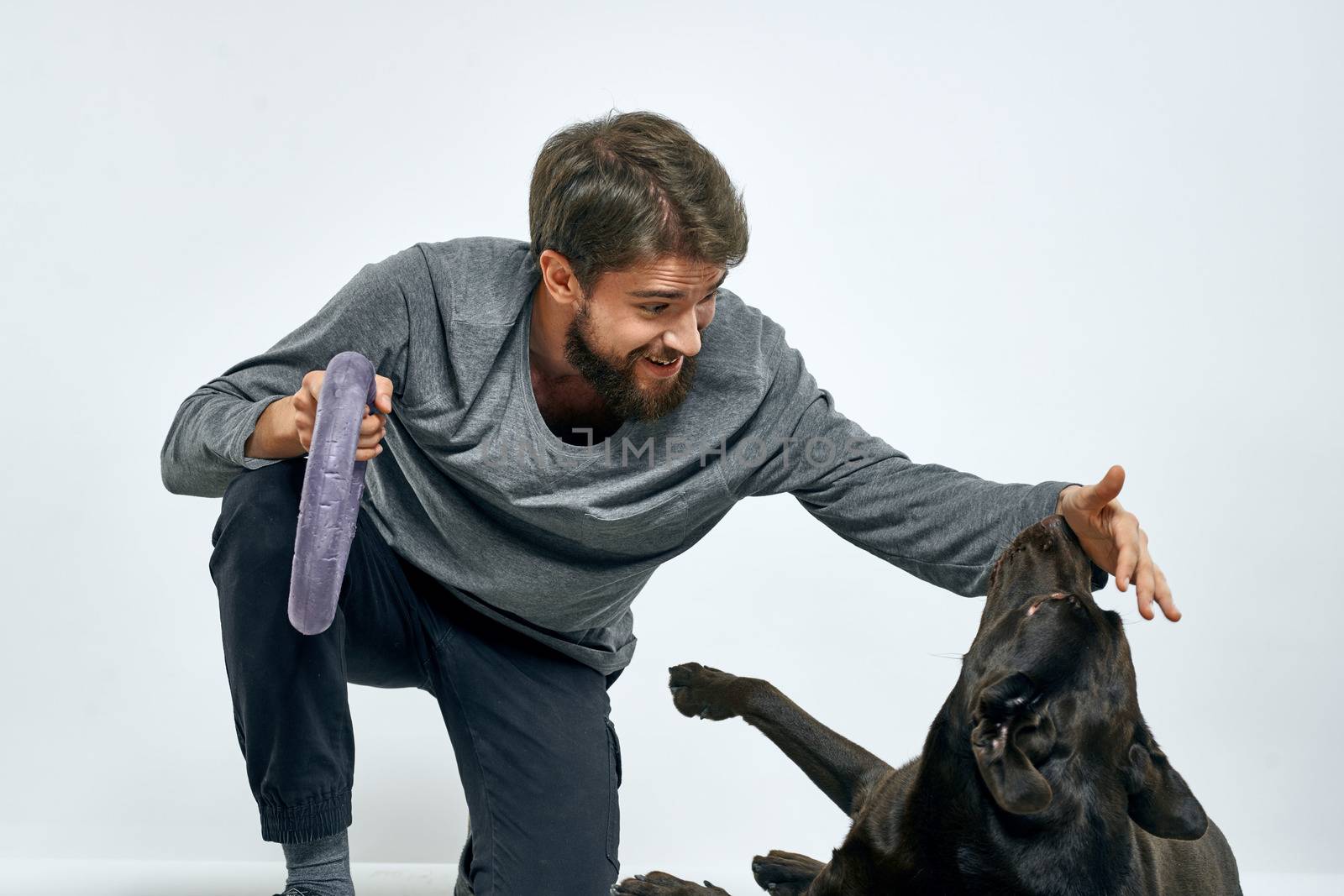 Man with dog training gray ring doing exercises pets light background. High quality photo