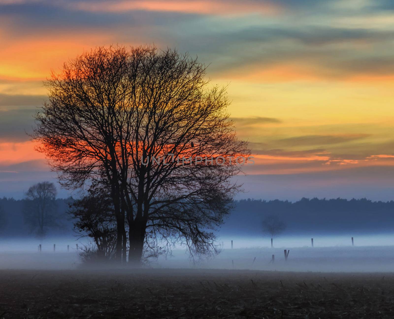 Beautiful pictures of  Belgium