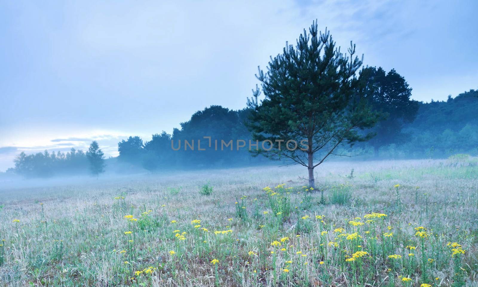 Beautiful pictures of  Belgium