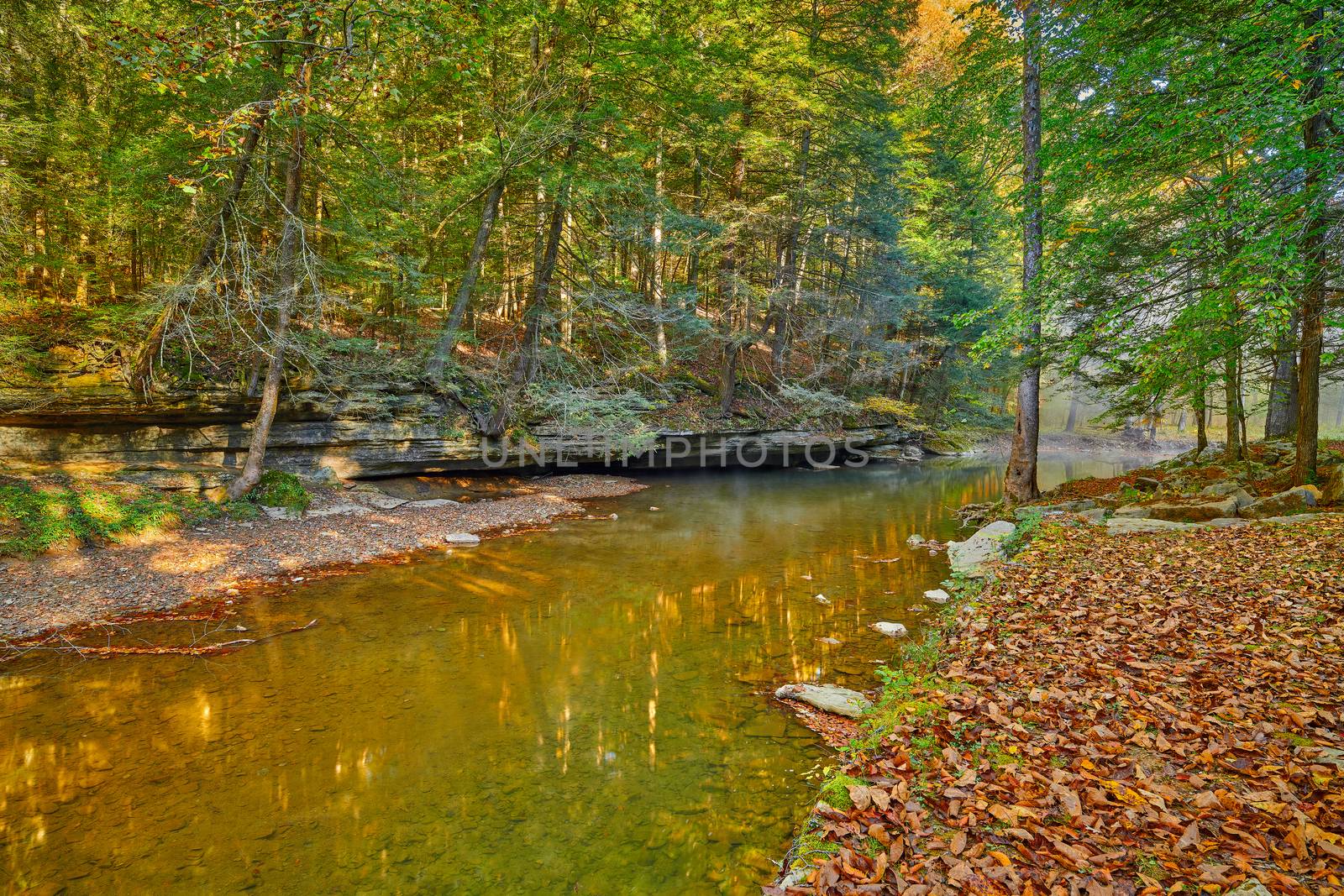 War Creek next to Turkey Foot Campground in the Daniel Boone Nat by patrickstock