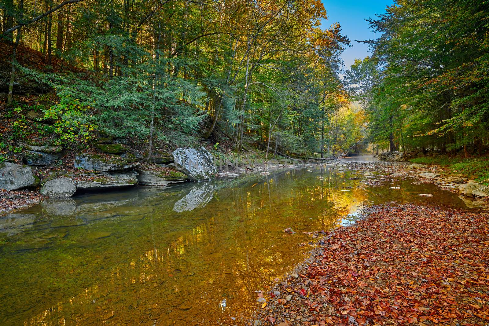 War Creek next to Turkey Foot Campground in the Daniel Boone National Forest near McKee, KY.