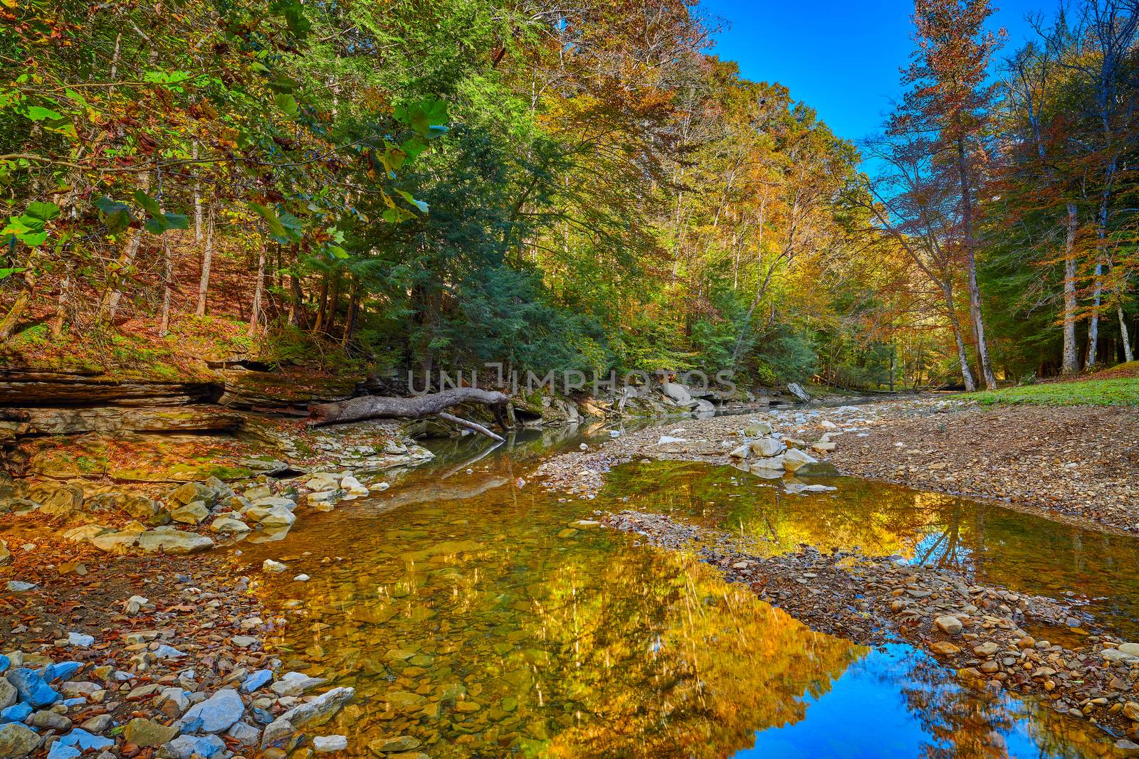 Colorful Fall leaves along War Creek next to Turkey Foot Campground in the Daniel Boone National Forest near McKee, KY.