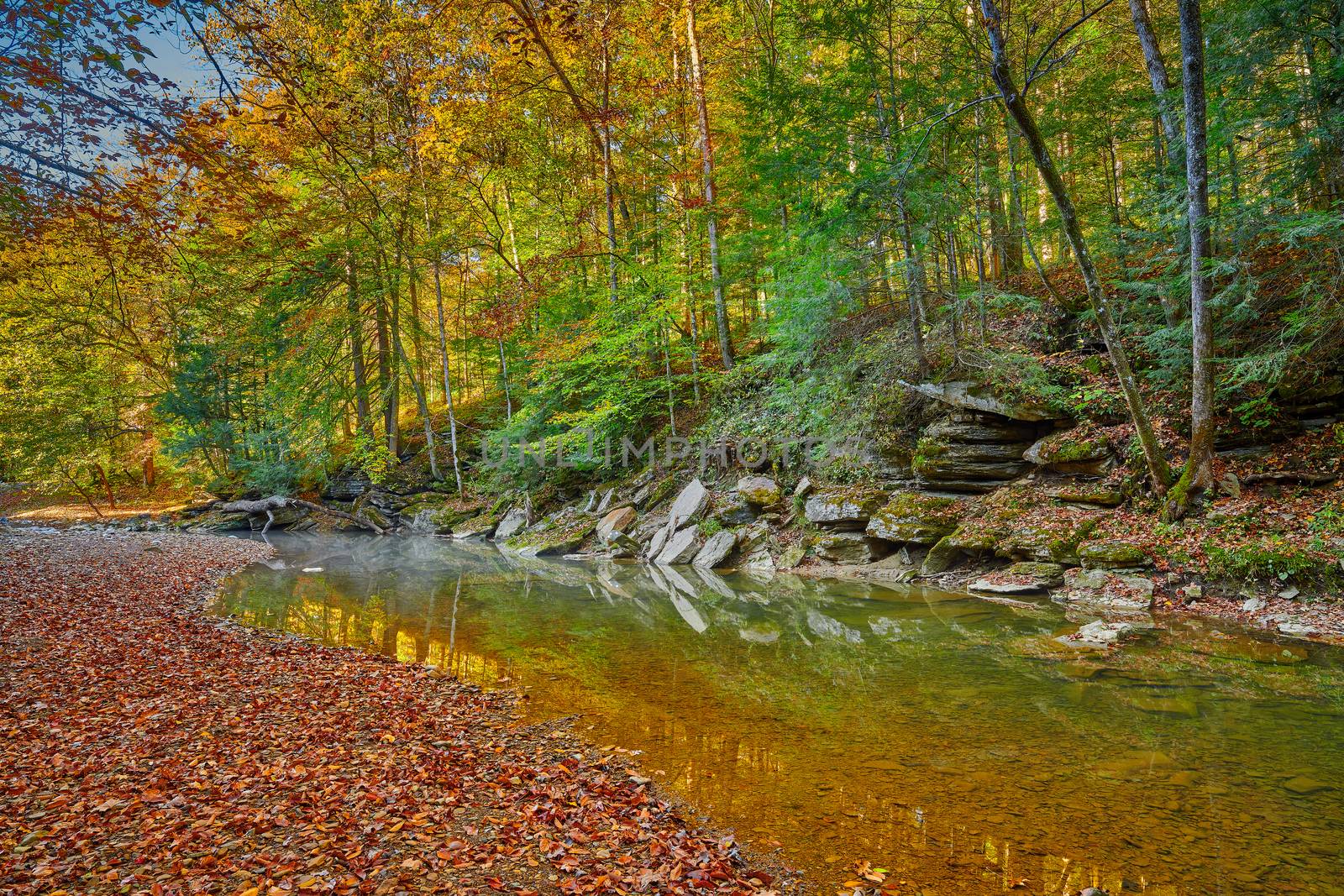 Colorful Fall leaves along War Creek next to Turkey Foot Campground in the Daniel Boone National Forest near McKee, KY.