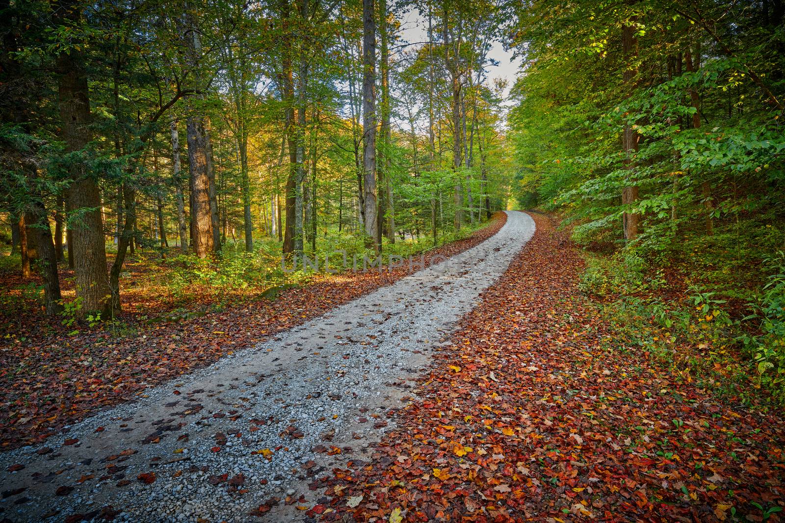 Gravel road in Turkey Foot Campground near McKee, KY. by patrickstock