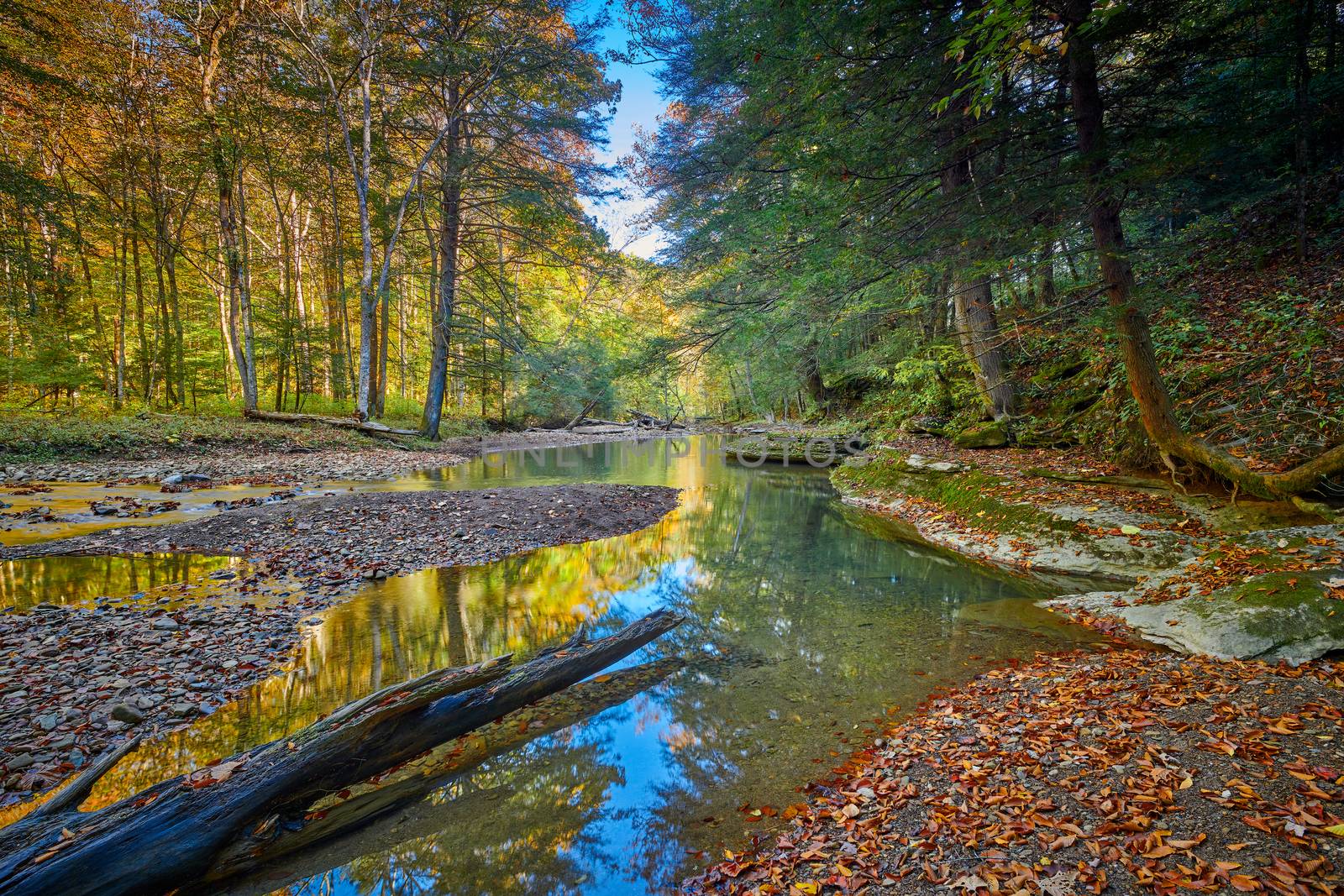 View of War Creek next to Turkey Foot Campground in the Daniel B by patrickstock
