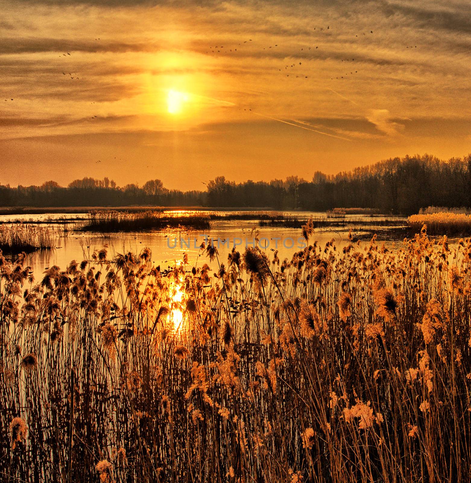 Beautiful pictures of  Belgium by TravelSync27