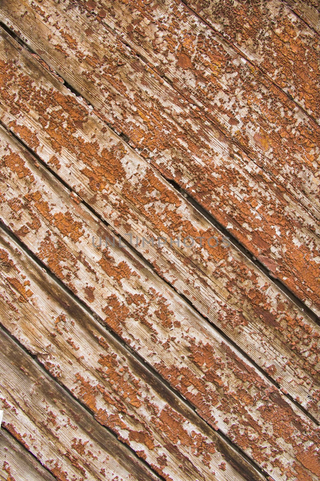 Wooden material background, wooden texture. Brown wood. by Taidundua