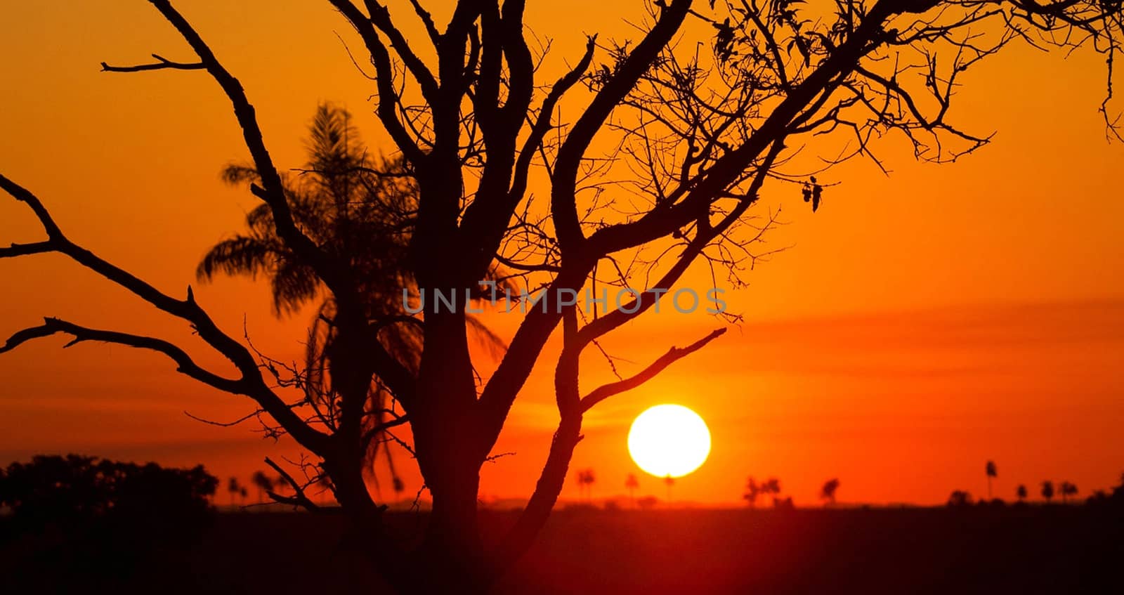 Beautiful pictures of  Brazil by TravelSync27