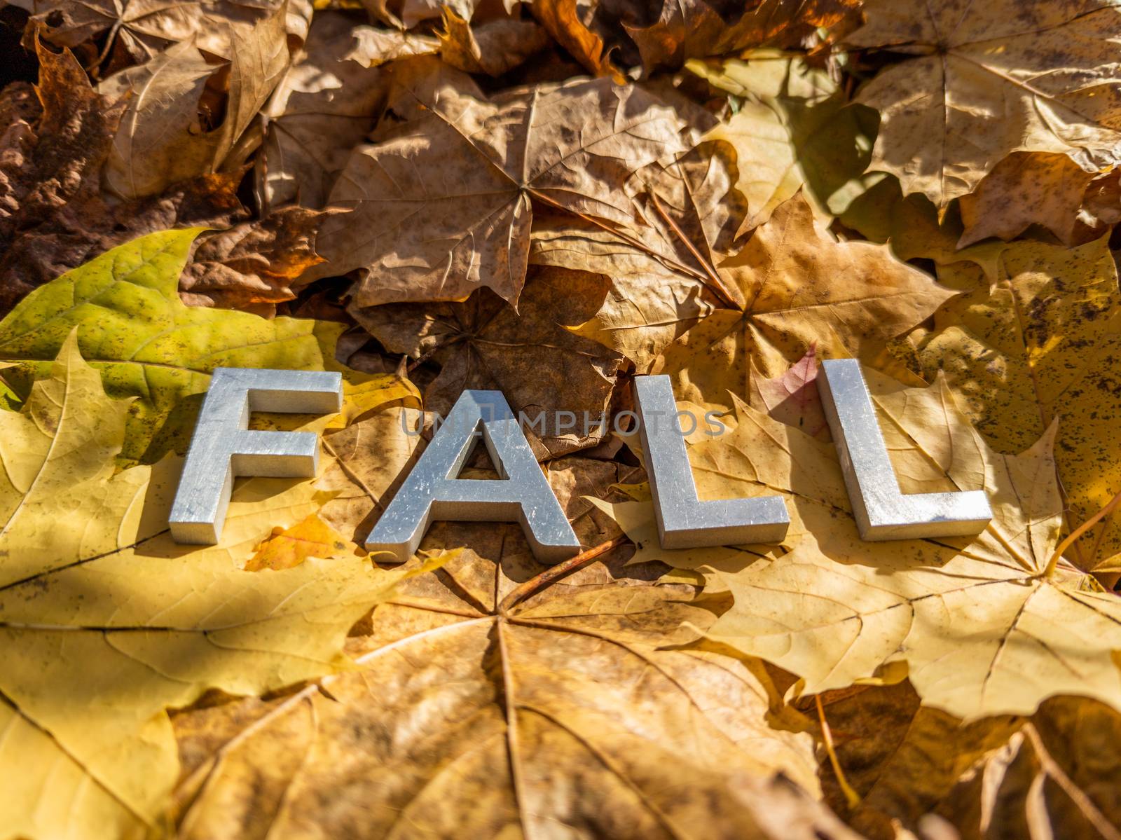 the word fall laid with metal letters over yellow autumn fallen leaves - closeup with selective focus.