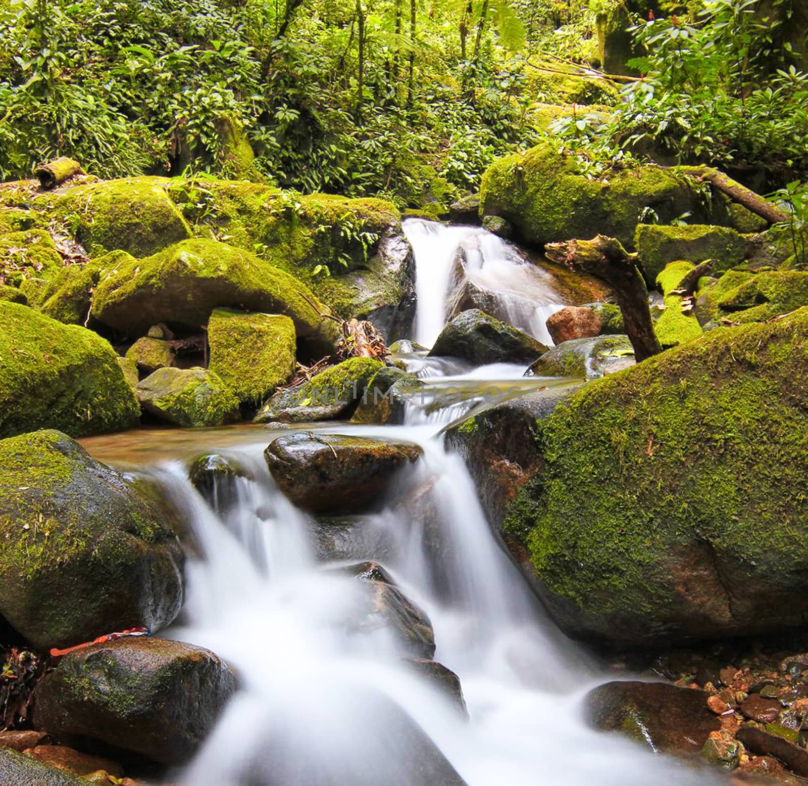 Beautiful pictures of  Brazil