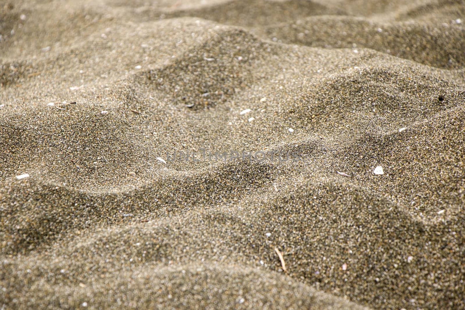 Sea sand background and texture. lights and shadows on the sand. Wallpaper of sand in Georgian Black sea.