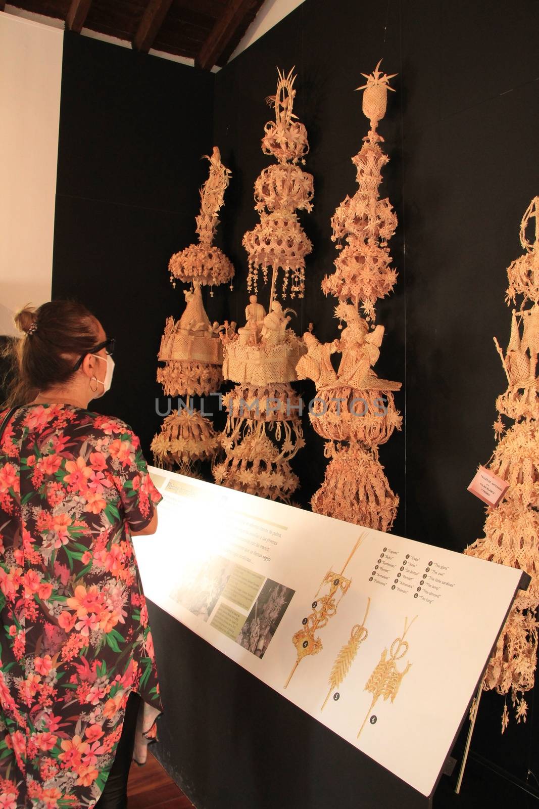 Elche, Alicante, Spain- September 2, 2020: Tourists group visiting the palm tree museum in Elche, Alicante