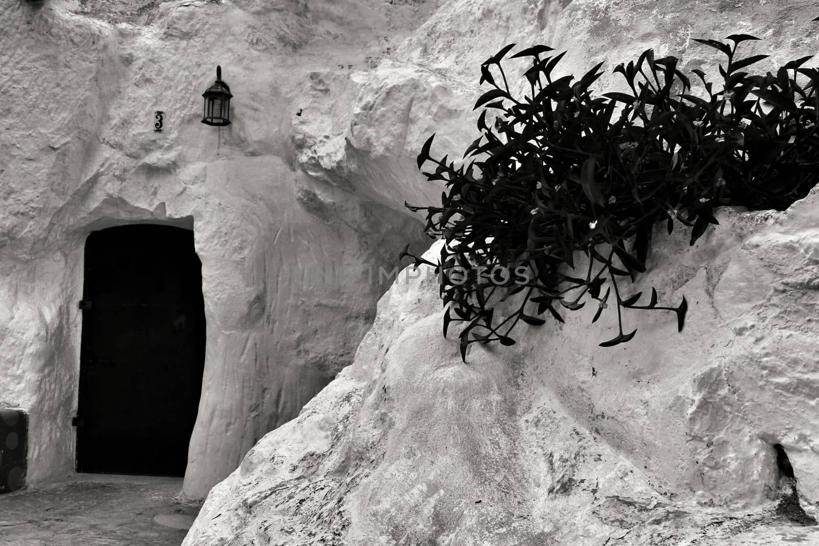 Rojales, Alicante, Spain- September 6, 2020: Facade of white cave house with hanging plant excavated in the mountain in Rojales, Alicante, Spain.
