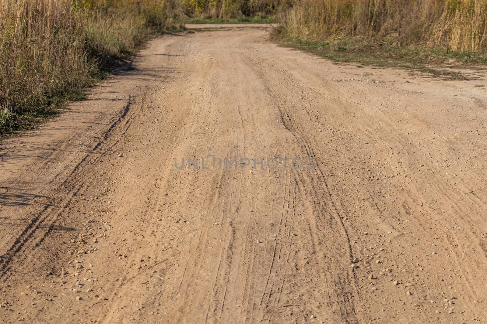 dusty dry dirt road with wild grass thickets on its sidea - T-junction