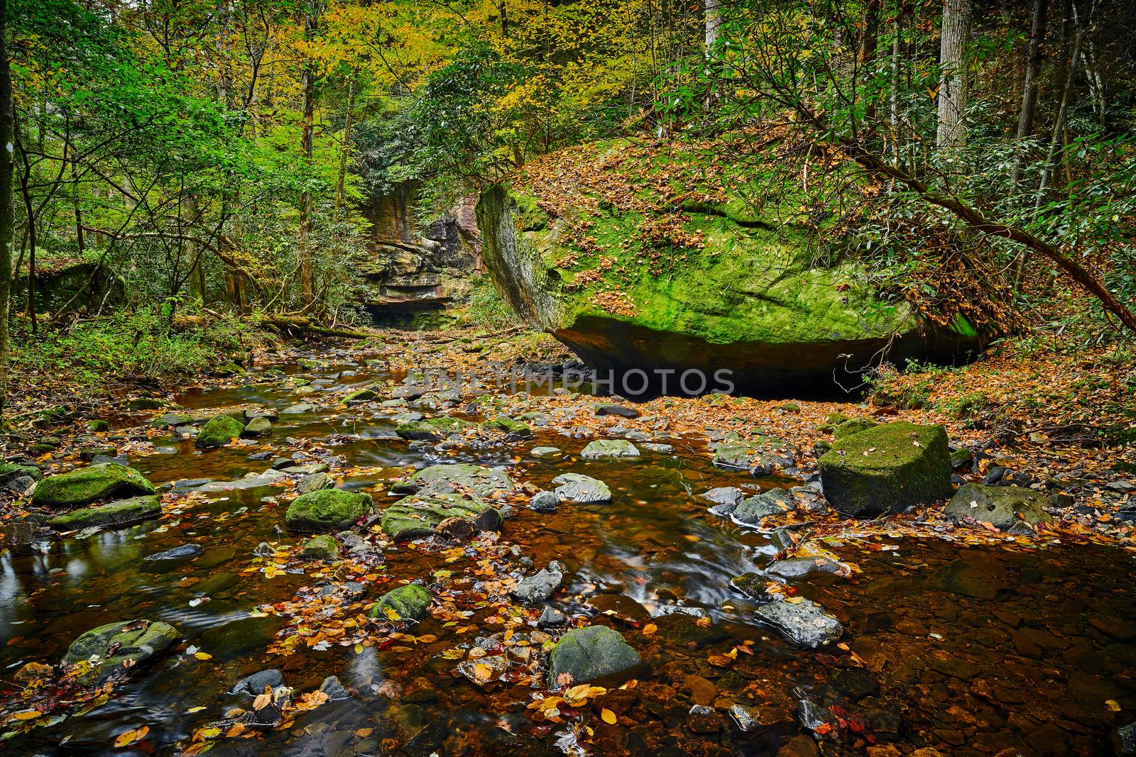 Large boulder along Flat Lick Creek near Gray Hawk, Kentucky. by patrickstock