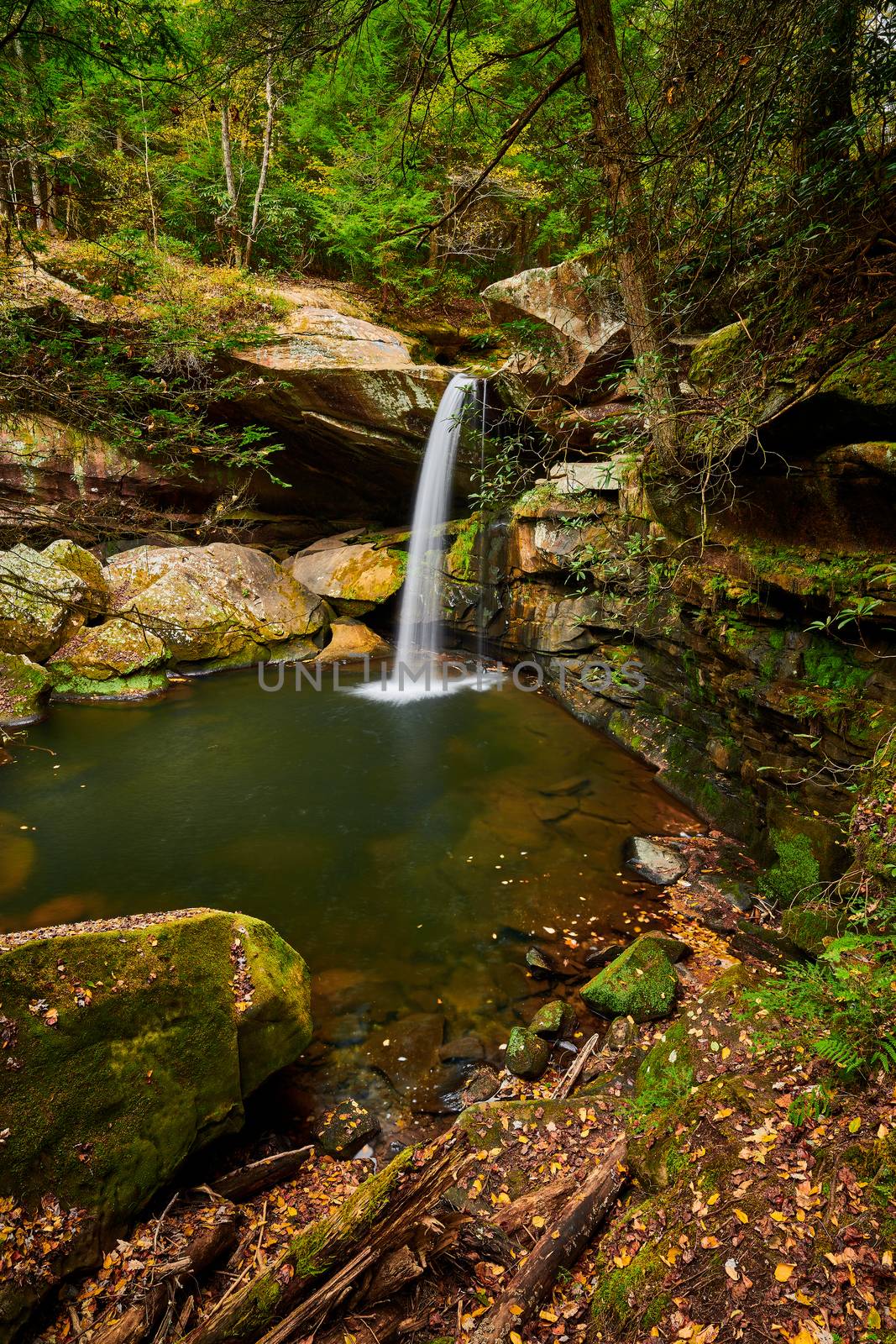 Beautiful Flat Lick Falls near Gray Hawk, Kentucky. by patrickstock