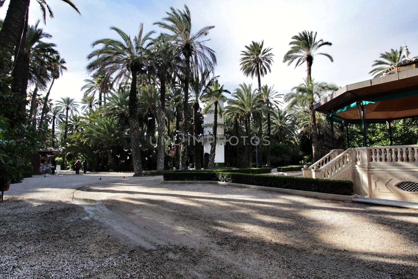 Beautiful and vintage music kiosk in the municipal park of Elche between palm trees. Elche, Alicante, Spain.