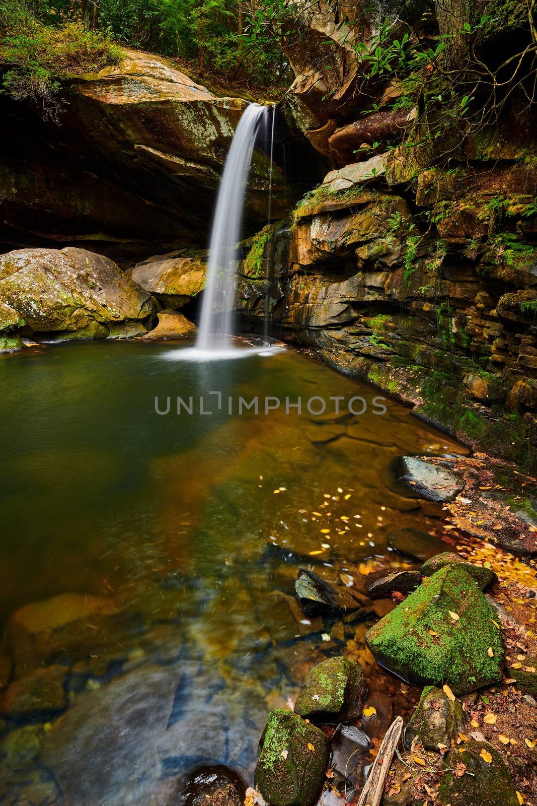 Beautiful Flat Lick Falls near Gray Hawk, Kentucky. by patrickstock