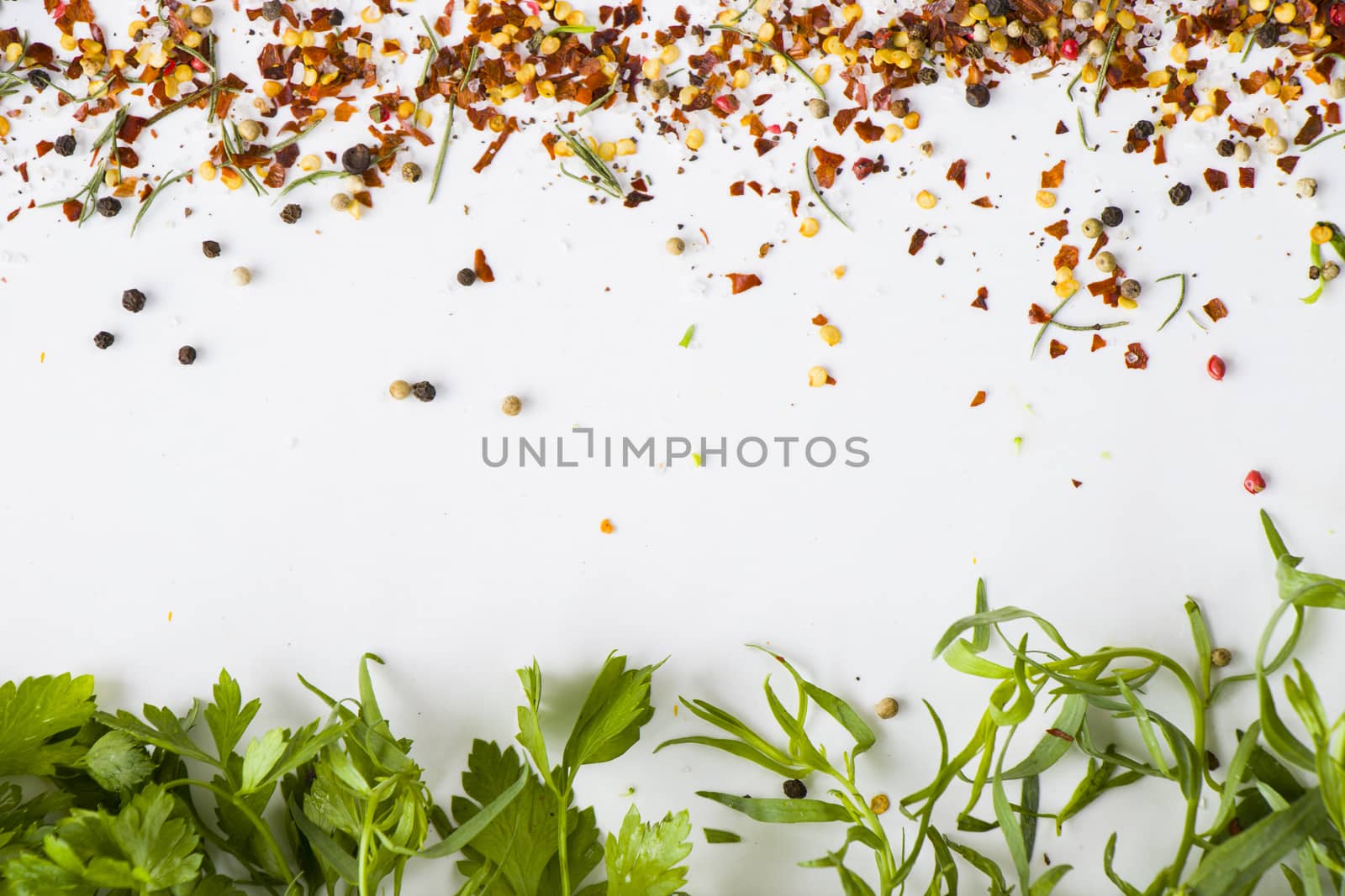 Greens vegetable leaves and spices on the white background, high angle view