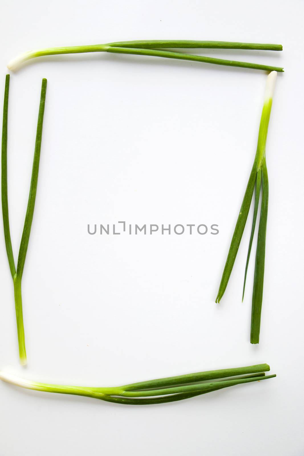 Green onion on the white background