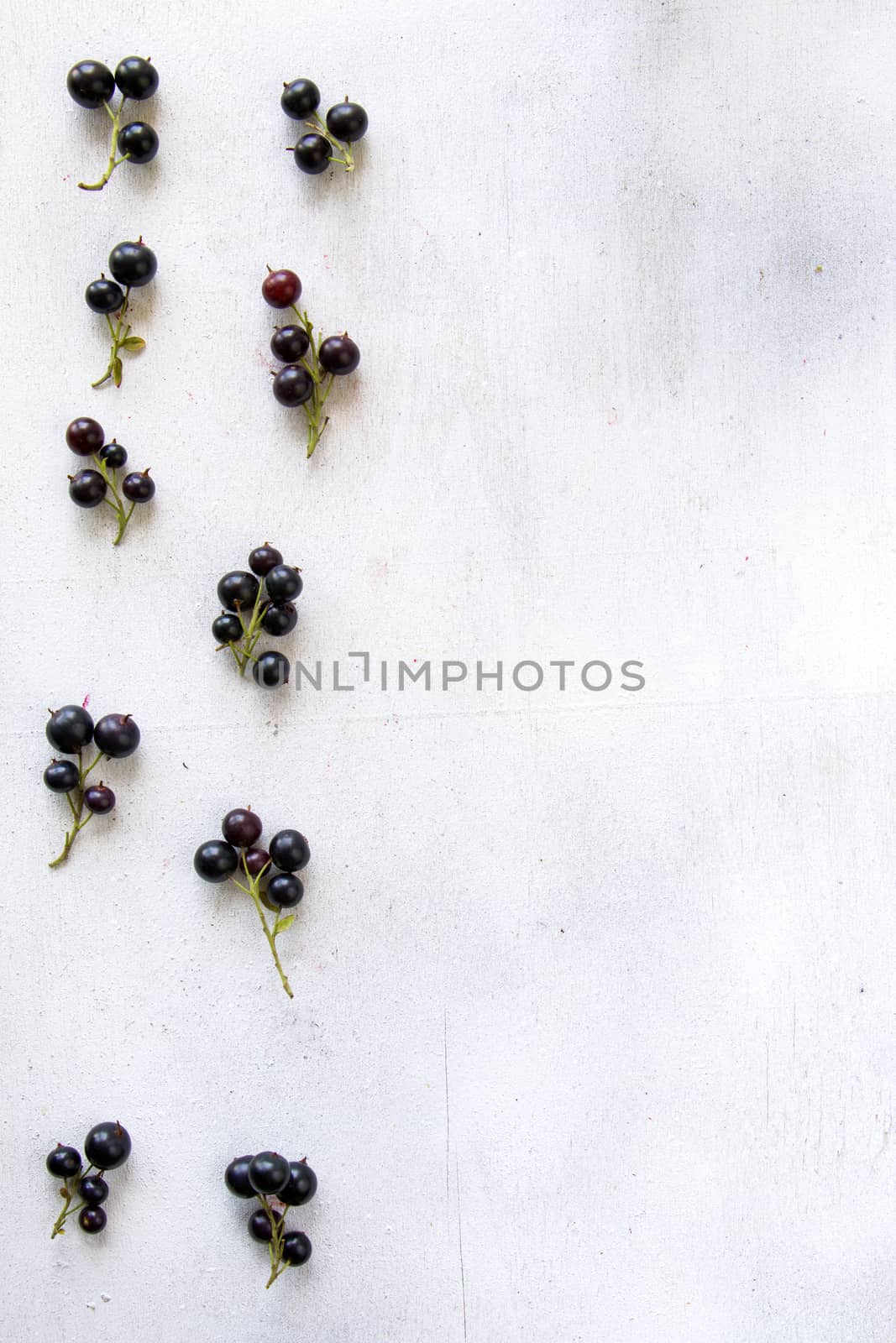 Currant on the white background, high angle view