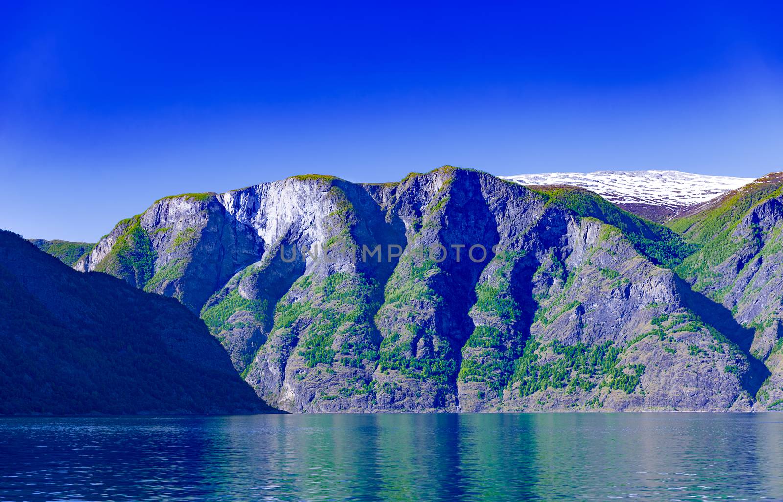 Summer Sognefjord landscape at Norway