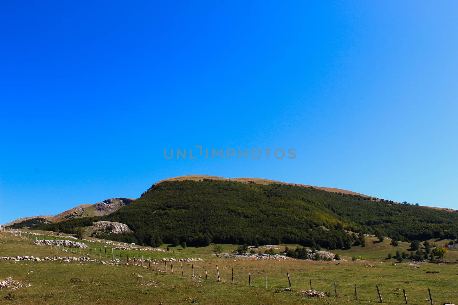 Meadows and pastures surrounded by a wooden fence and stones. Behind is a small hill with a forest. by mahirrov