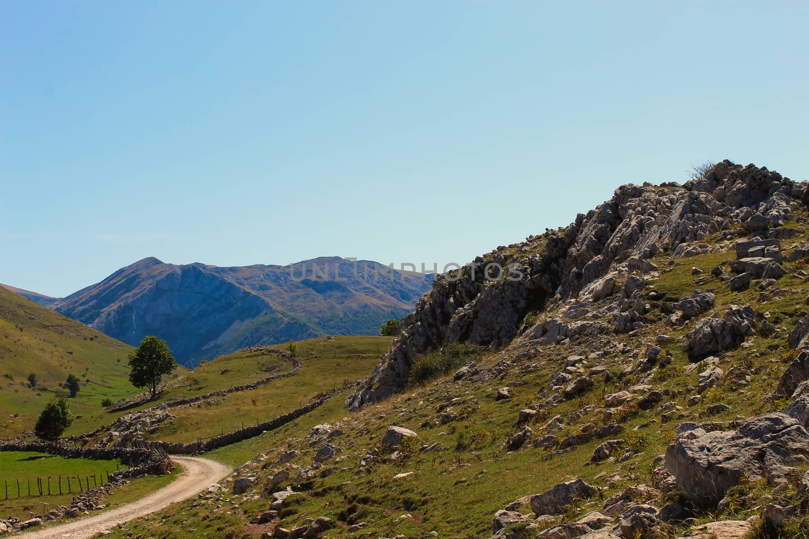 Beautiful mountain landscape in autumn. Rocky area with a couple of trees and a mountain road. Mountain peaks in the background. by mahirrov