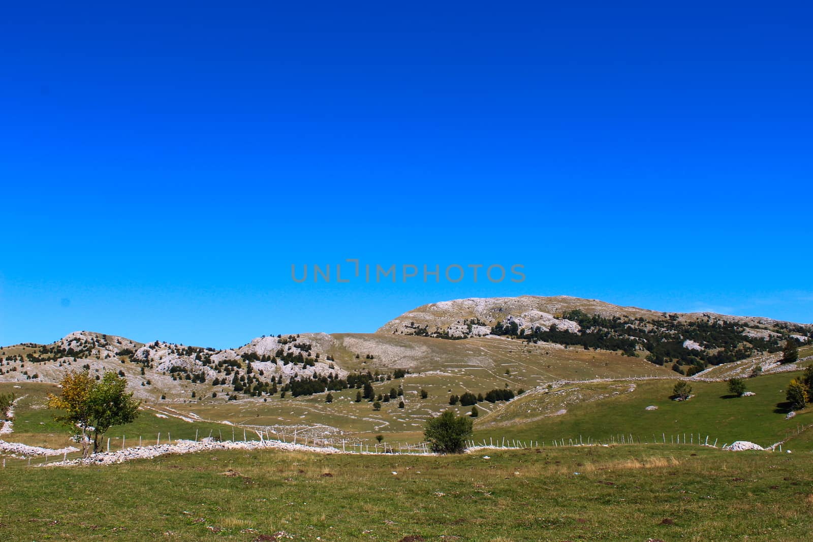 Landscape on the mountain. Meadows and pastures on the mountain. Autumn. Bjelasnica Mountain, Bosnia and Herzegovina.