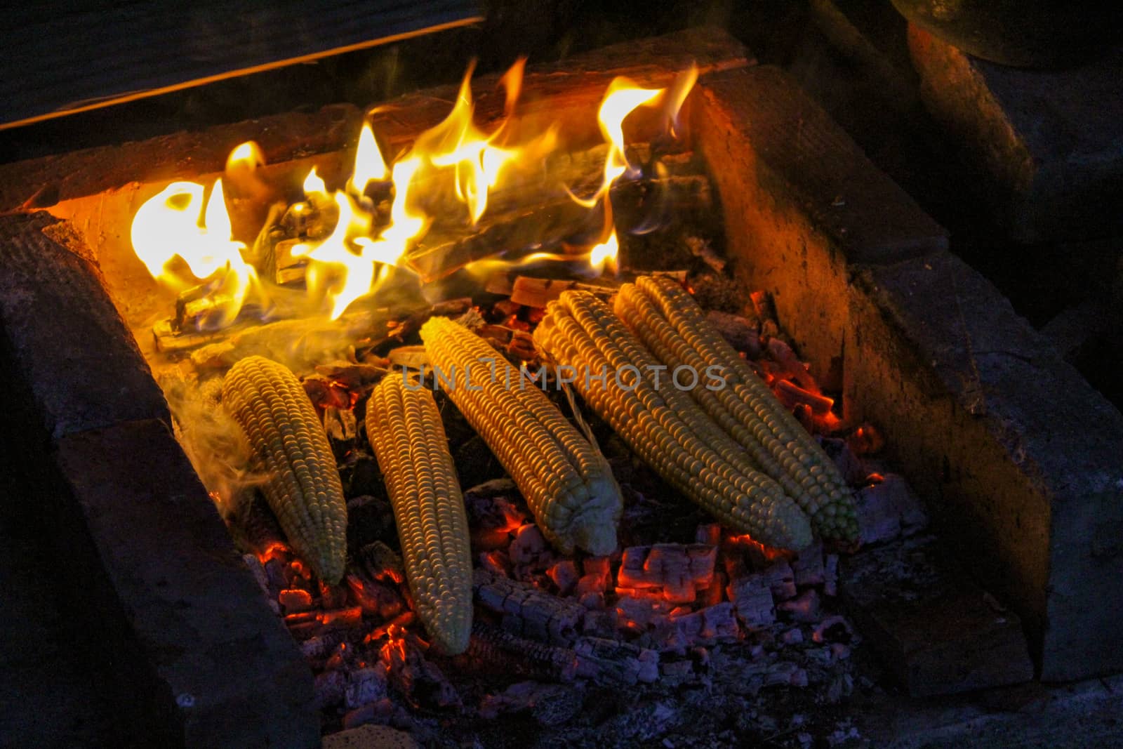 Freshly harvested corn is grilled with a little fire in the background. Traditional way of roasting corn in Bosnia. Zavidovici, Bosnia and Herzegovina.