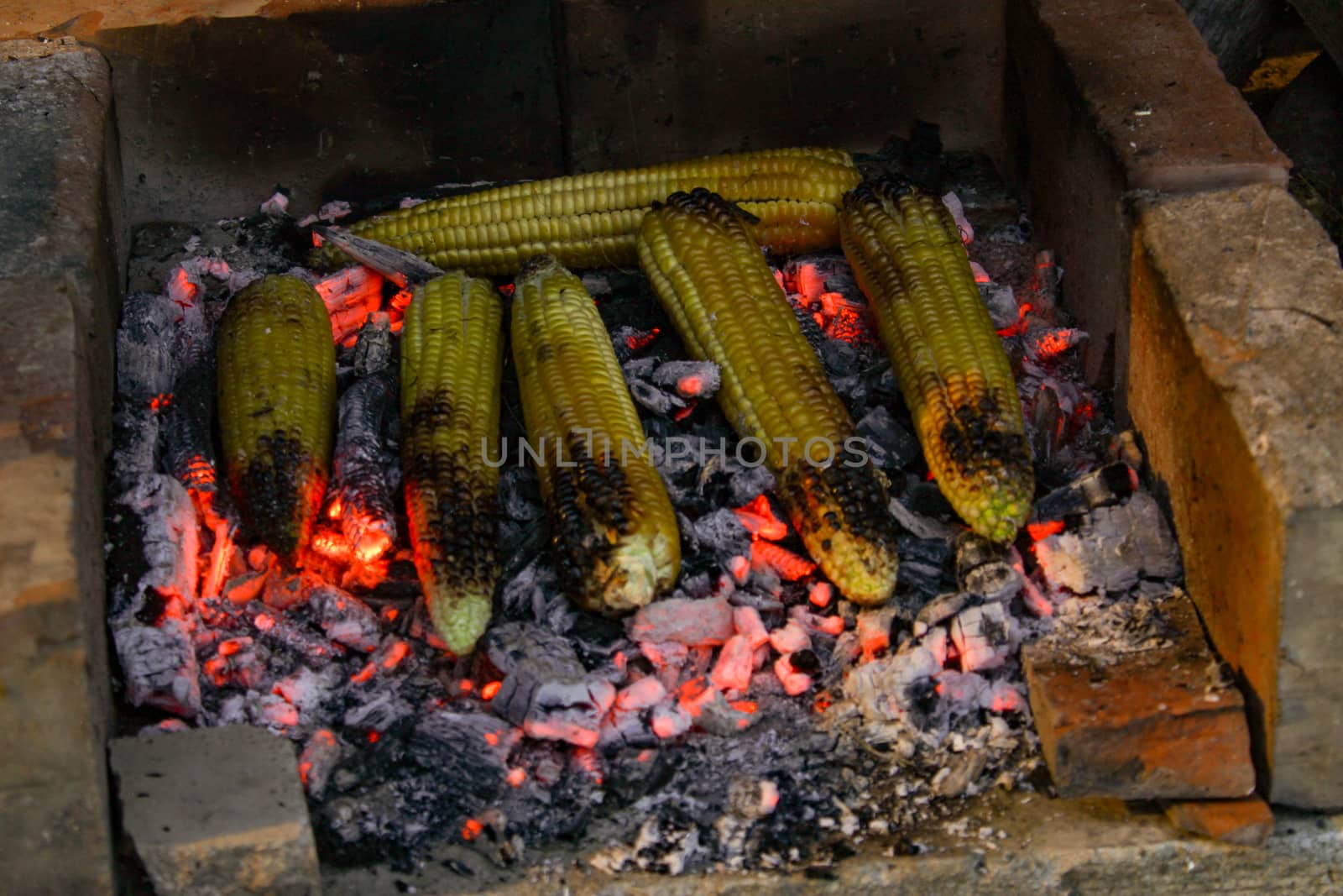 Summer nights by the fire. Roasting corn on the cob at night on summer days. by mahirrov
