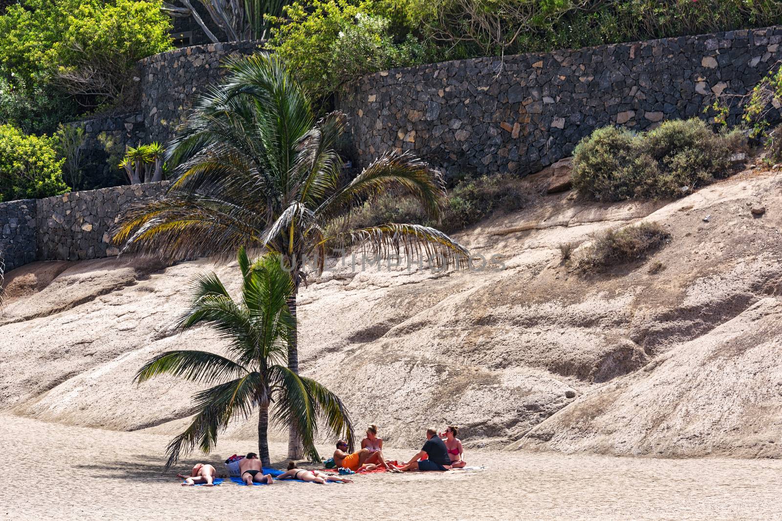 On the sand in the shade under a palm tree a group of people is resting