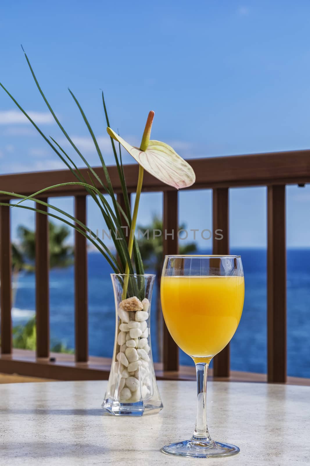 A glass of orange juice and a vase with a flower against the sea by Grommik