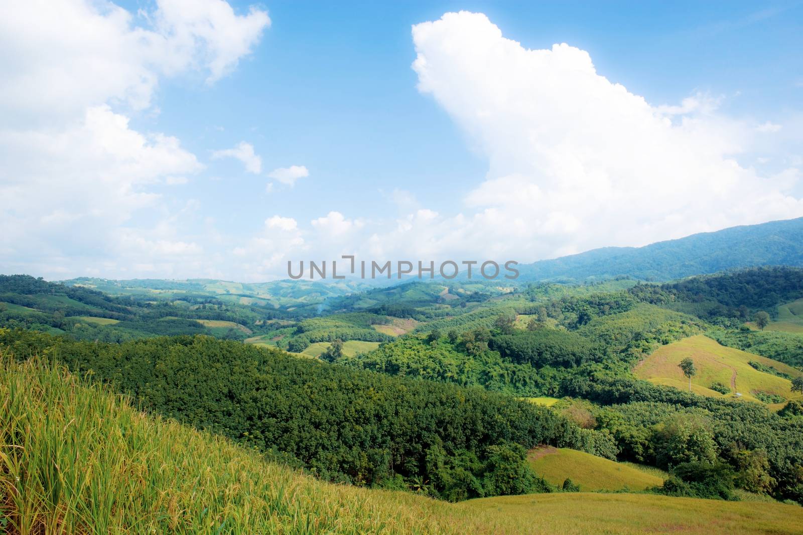 Natural of beauty on mountain with blue sky in the rainy season.