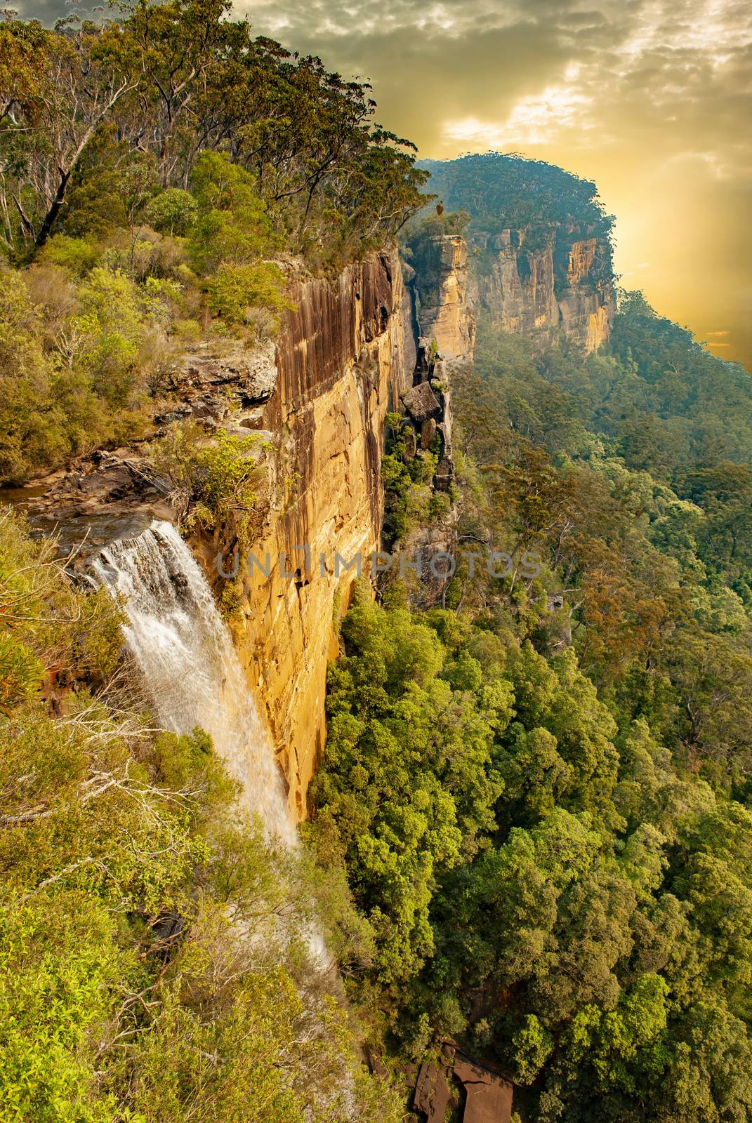 Fitzroy Falls in Australia at sunset by fyletto