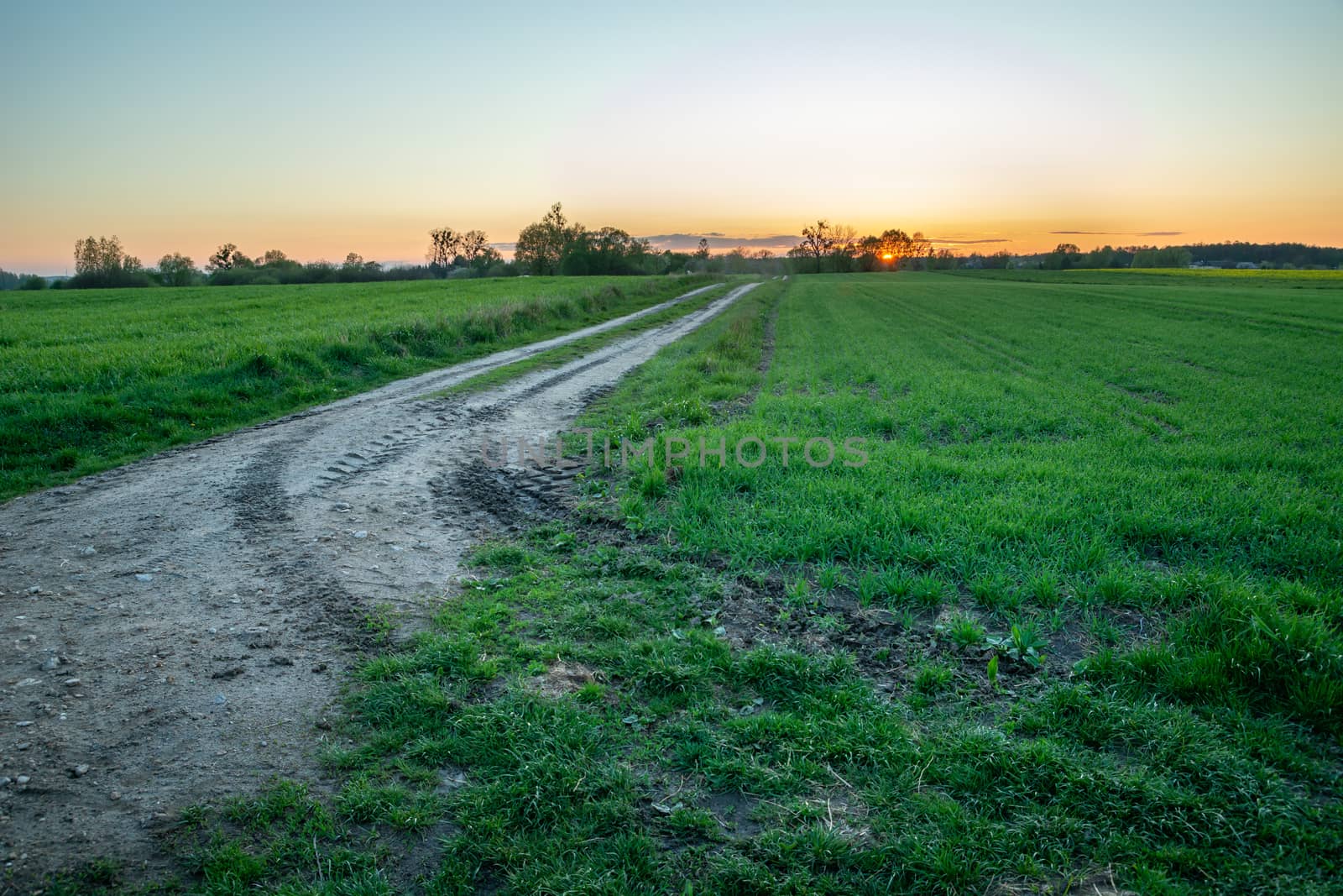 Exit onto a dirt road with green fields and sunset, evening spring view