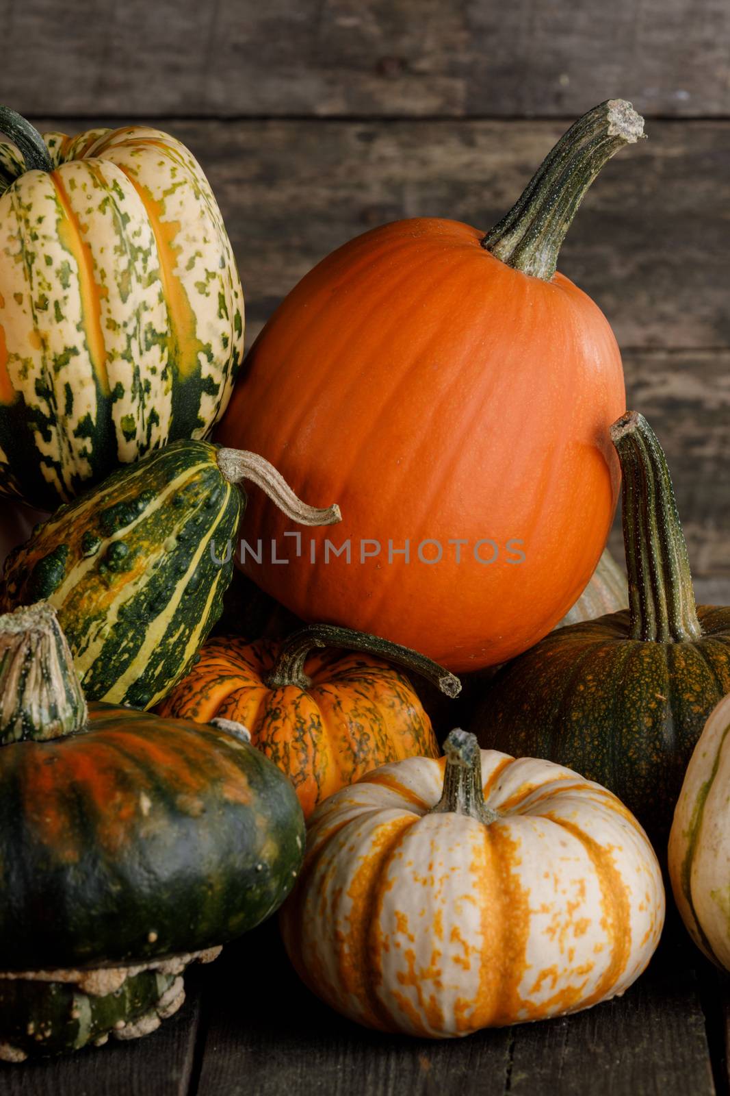 Many colorful pumpkins on rustic wooden background , autumn harvest, Halloween or Thanksgiving concept