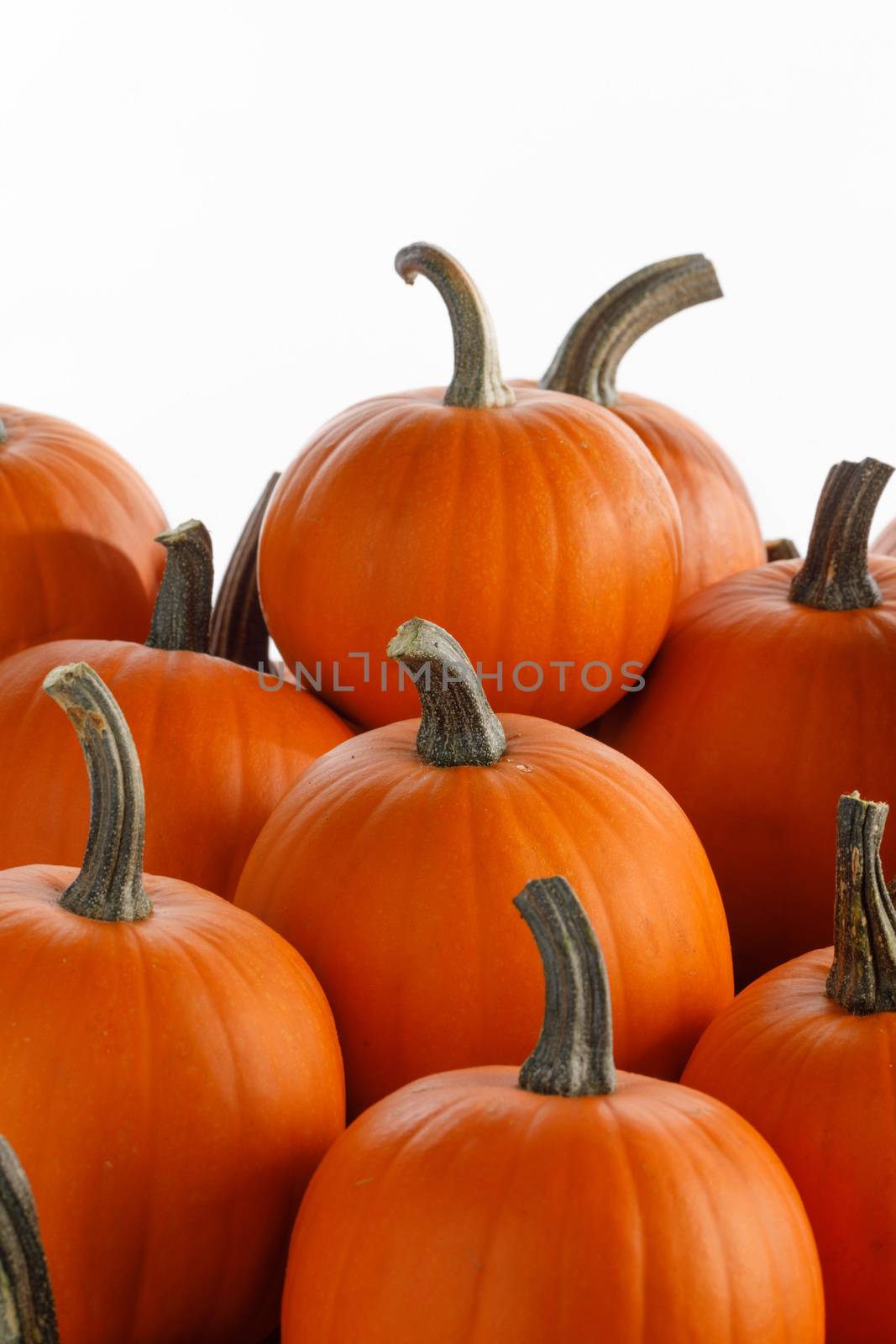 Heap of many orange pumpkins isolated on white background , Halloween concept