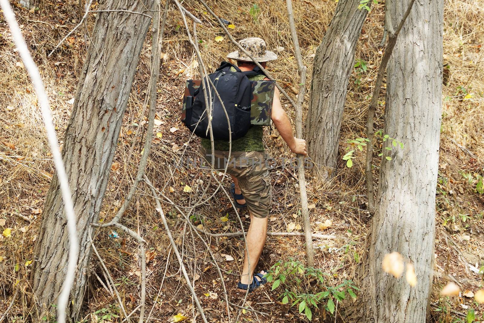 a man with a backpack climbs the mountain between the trees, back view