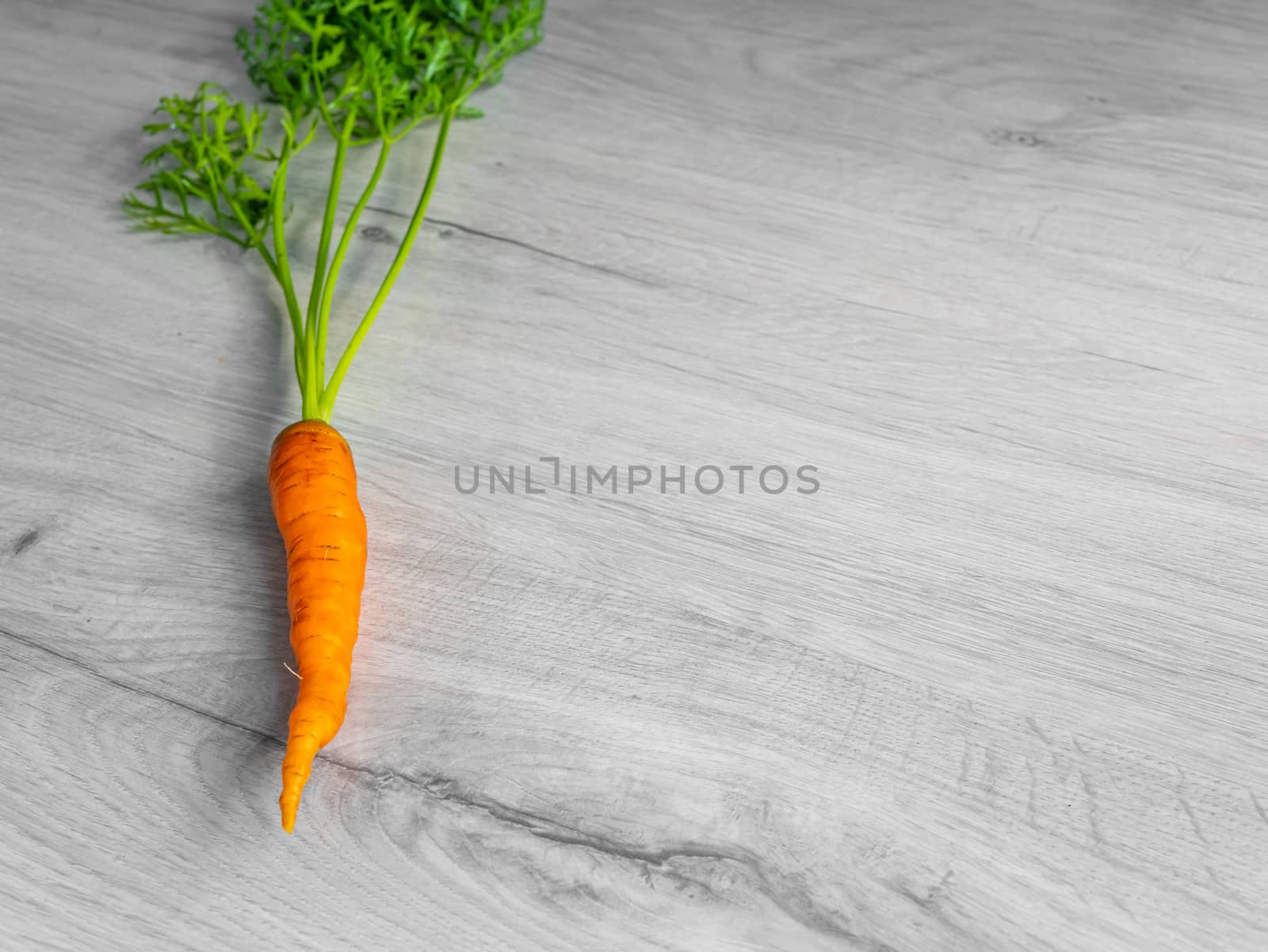 Orange natural carrot with a fluffy long tail. On a light background.