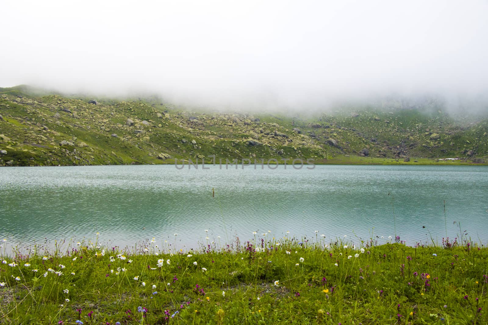 Mountain lake and fog, misty lake, amazing landscape and view of alpine lake Okhrotskhali in the Svaneti by Taidundua