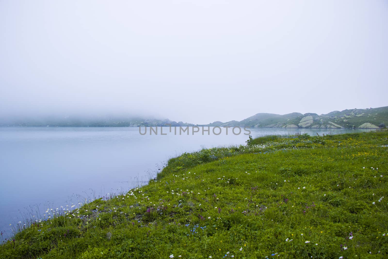 Mountain lake and fog, misty lake, amazing landscape and view of alpine lake Okhrotskhali in the Svaneti by Taidundua