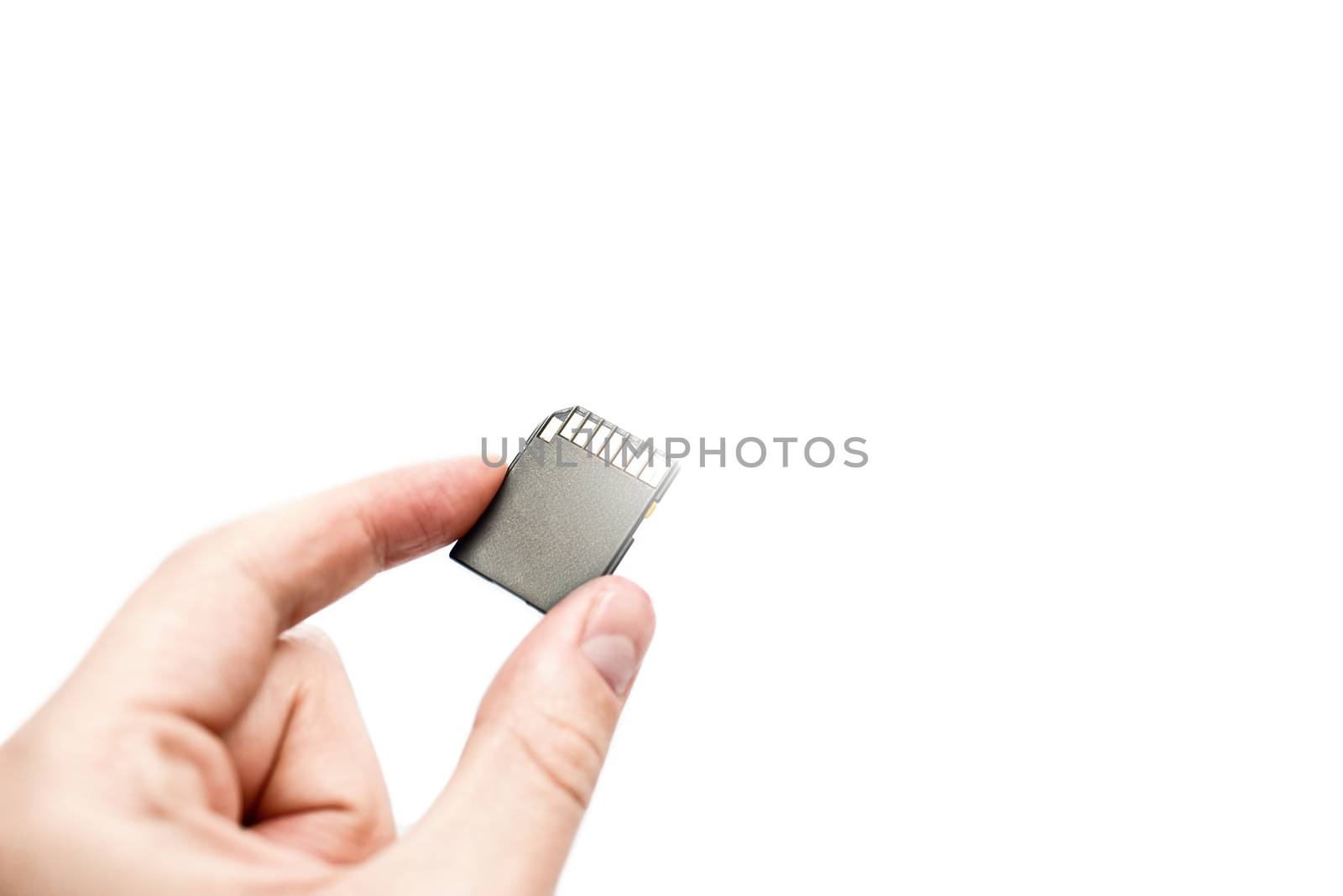 sd card in hand isolated on white background. information concept