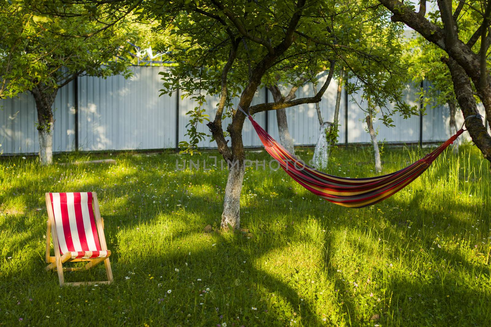 Yard chair on the grass and hammock, summer holiday background. Copy paste space. by Taidundua