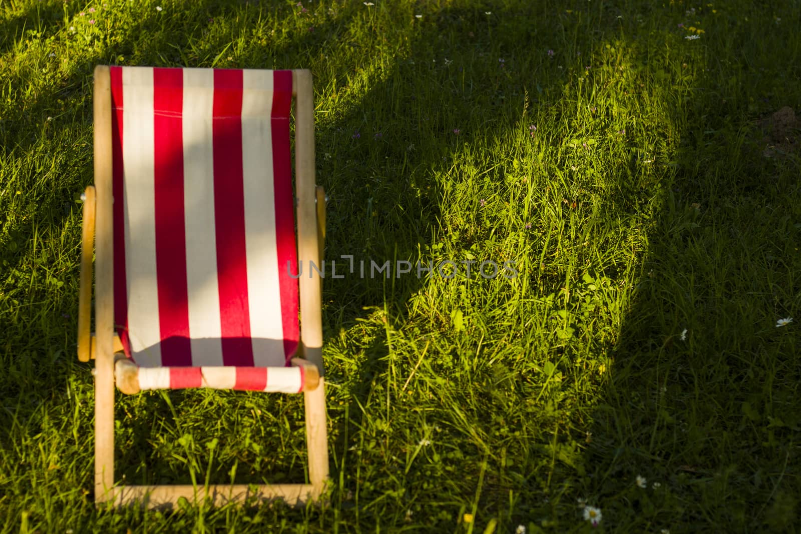Yard chair on the grass, summer holiday background. Copy paste space. Sunlight and shadows.