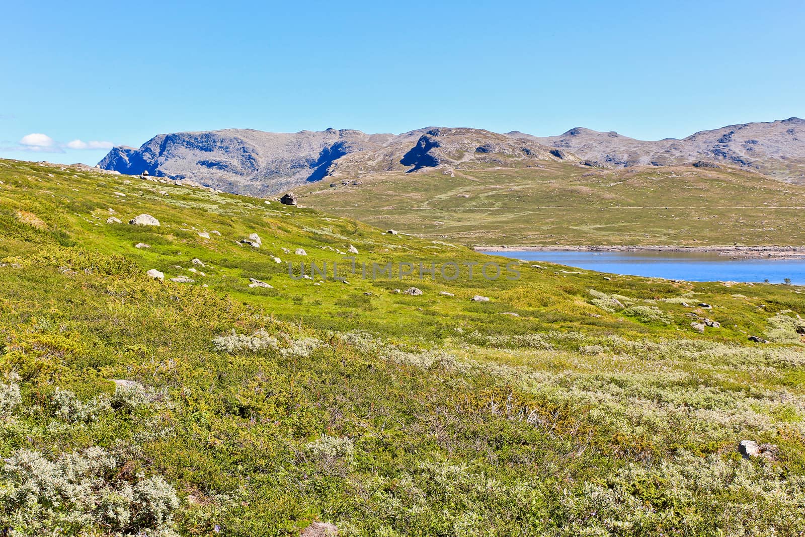 Vavatn lake and mountains in summertime in Hemsedal, Buskerud, Norway. by Arkadij