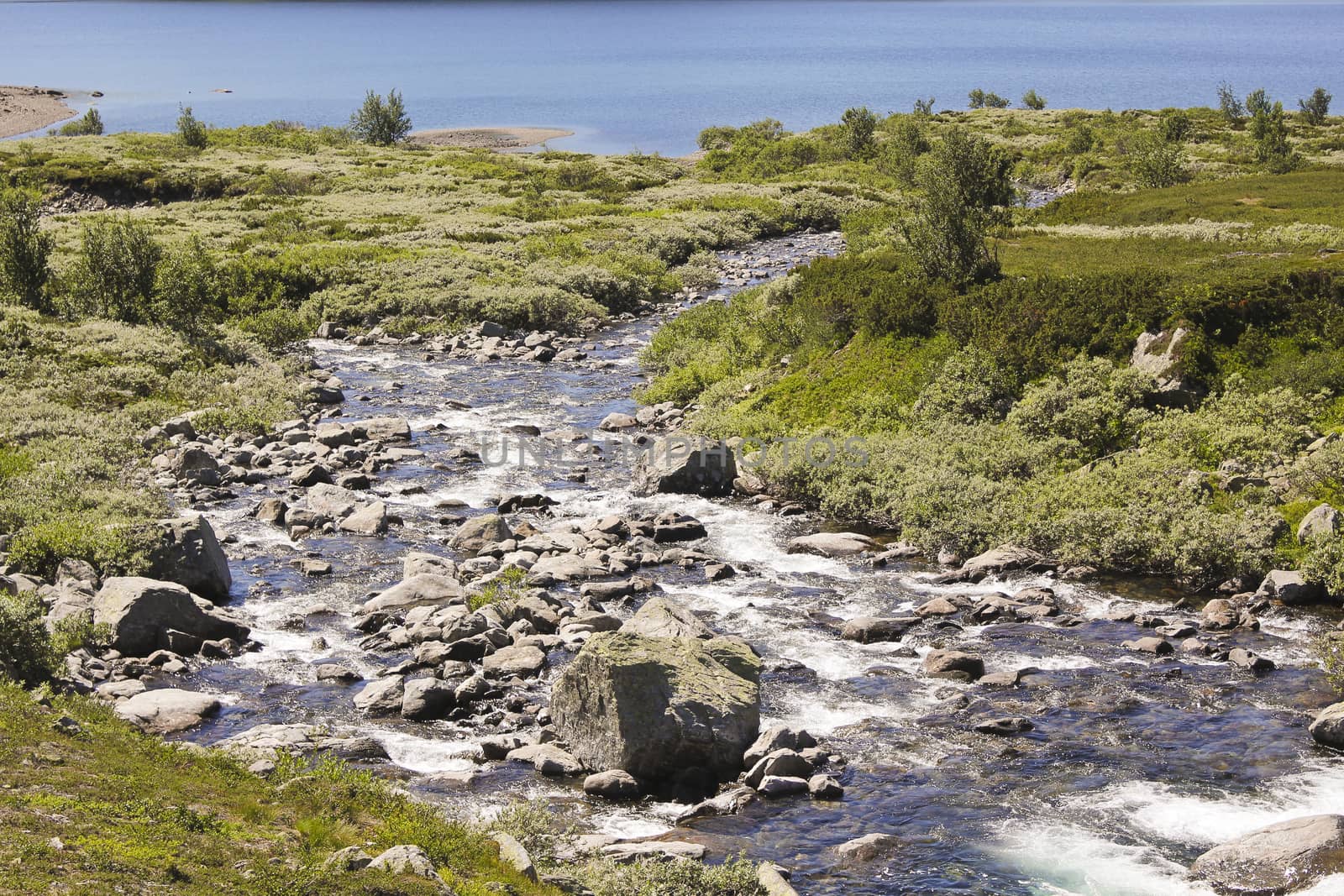 Beautiful Storebottåne river flows into the vavatn lake. Summer landscape in Hemsedal, Buskerud, Norway.