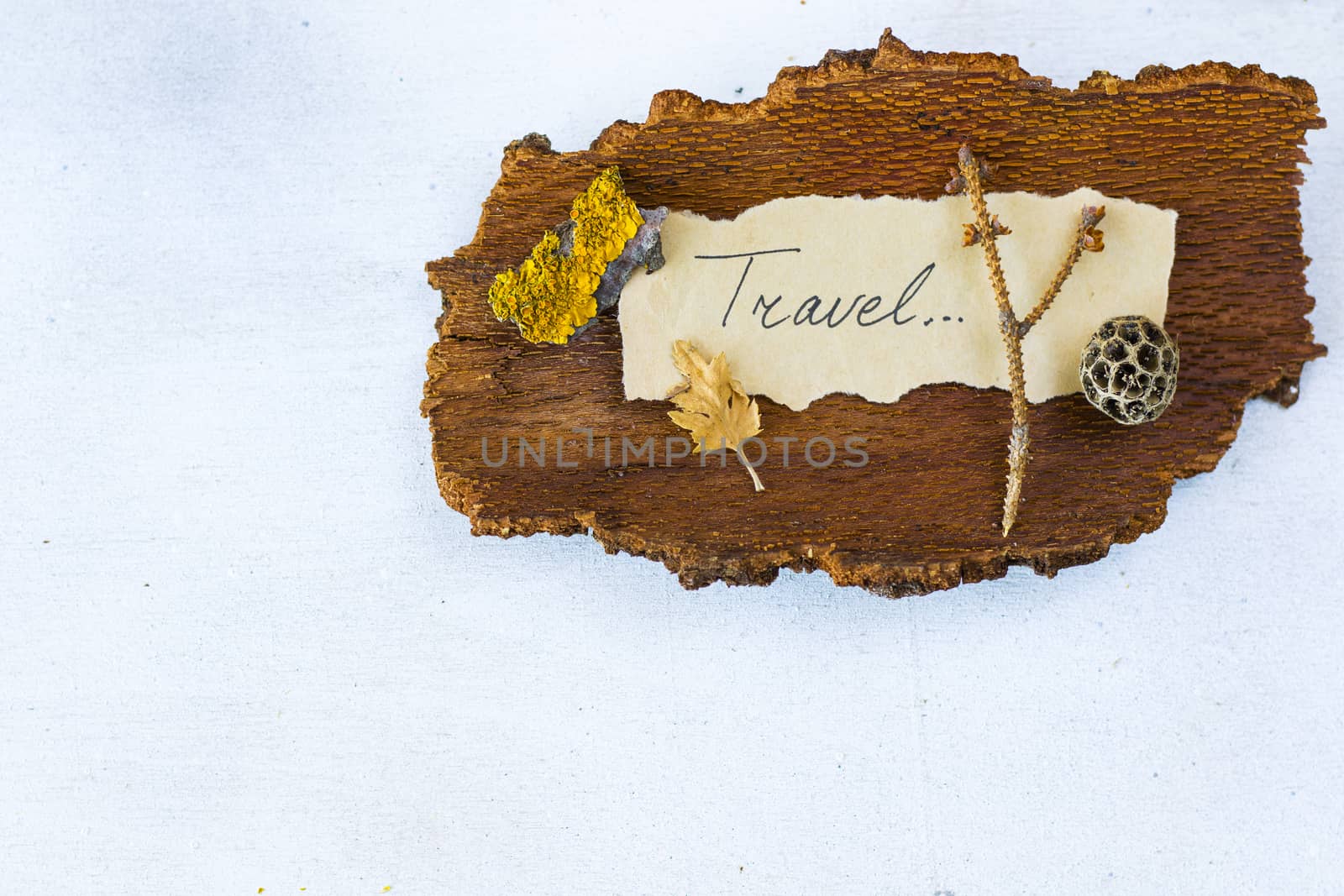 Autumn vibes travel memories, dried plants and flowers, copy paste space, letter and words on the old paper, herbarium theme.